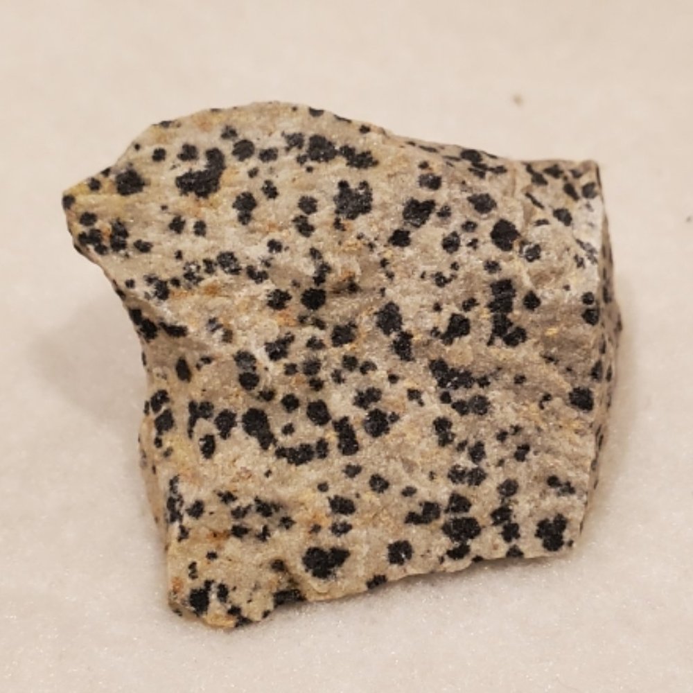 Natural  Raw Dalmation Jasper  Gemstone #2 Stone